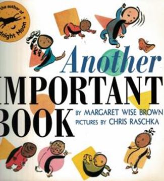 Imagem de ANOTHER IMPORTANT BOOK