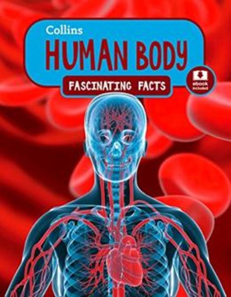 Picture of HUMAN BODY