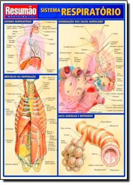 Imagem de RESUMAO - SISTEMA RESPIRATORIO