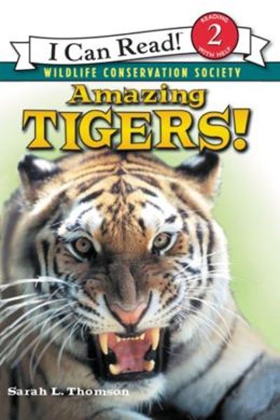 Picture of AMAZING TIGERS!