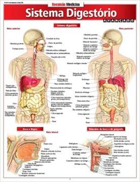 Imagem de RESUMAO - SISTEMA DIGESTORIO AVANCADO