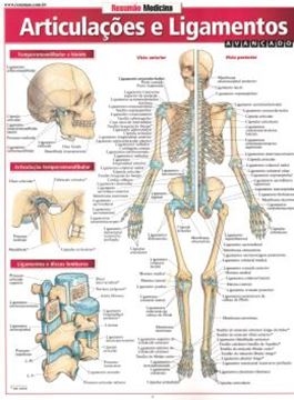 Imagem de RESUMAO - ARTICULACAO E LIGAMENTOS - AVANCADO