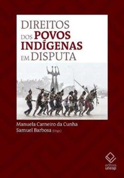 Imagem de DIREITOS DOS POVOS INDIGENAS EM DISPUTA