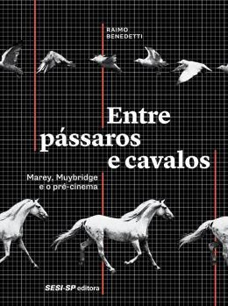 Picture of ENTRE PASSAROS E CAVALOS