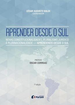 Imagem de APRENDER DESDE O SUL - NOVAS CONSTITUCIONALIDADES, PLURALISMO JURIDICO E PLURINACIONALIDADE - APRENDENDO DESDE O SUL
