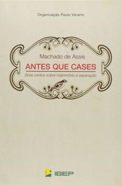 Picture of ANTES QUE CASES