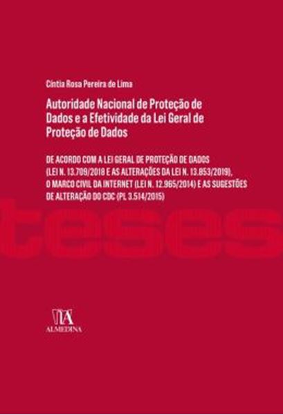 Picture of AUTORIDADE NACIONAL DE PROTECAO DE DADOS E A EFETIVIDADE DA LEI GERAL DE PROTECAO DE DADOS