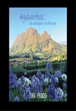 Imagem de AGAPANTHUS DAS PAISAGENS SUL-AFRICANAS
