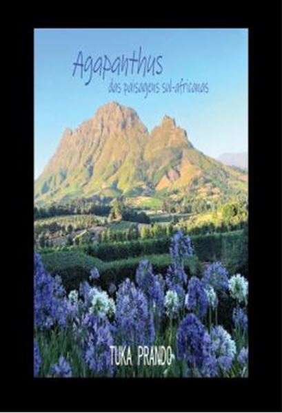 Picture of AGAPANTHUS DAS PAISAGENS SUL-AFRICANAS