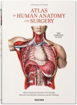 Imagem de BOURGERY. ATLAS OF HUMAN ANATOMY AND SURGERY
