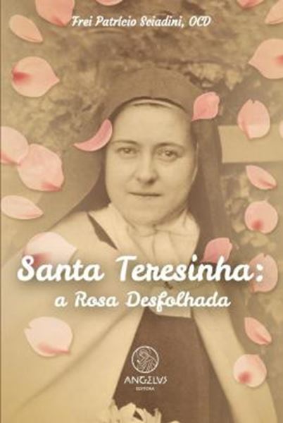 Picture of SANTA TERESINHA