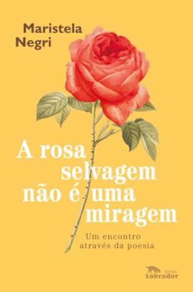 Picture of A ROSA SELVAGEM NAO E UMA MIRAGEM