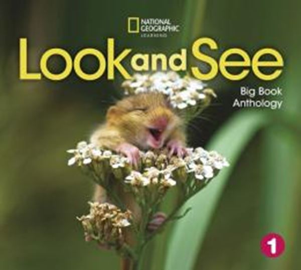 Picture of LOOK AND SEE 1 - BIG BOOK ANTHOLOGY