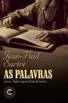 Imagem de AS PALAVRAS - 4ª ED