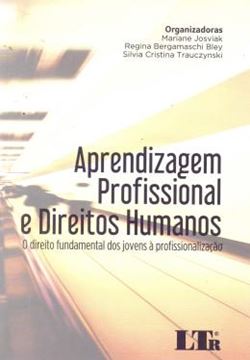 Imagem de APRENDIZAGEM PROFISSIONAL E DIREITOS HUMANOS
