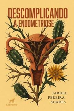 Imagem de DESCOMPLICANDO A ENDOMETRIOSE